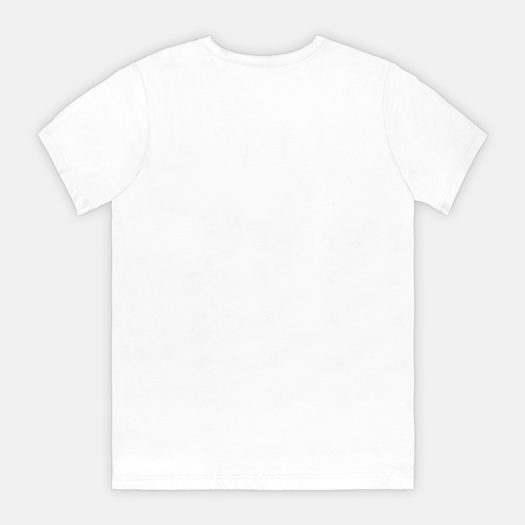 Nashville Songs & Stories Classic Tee