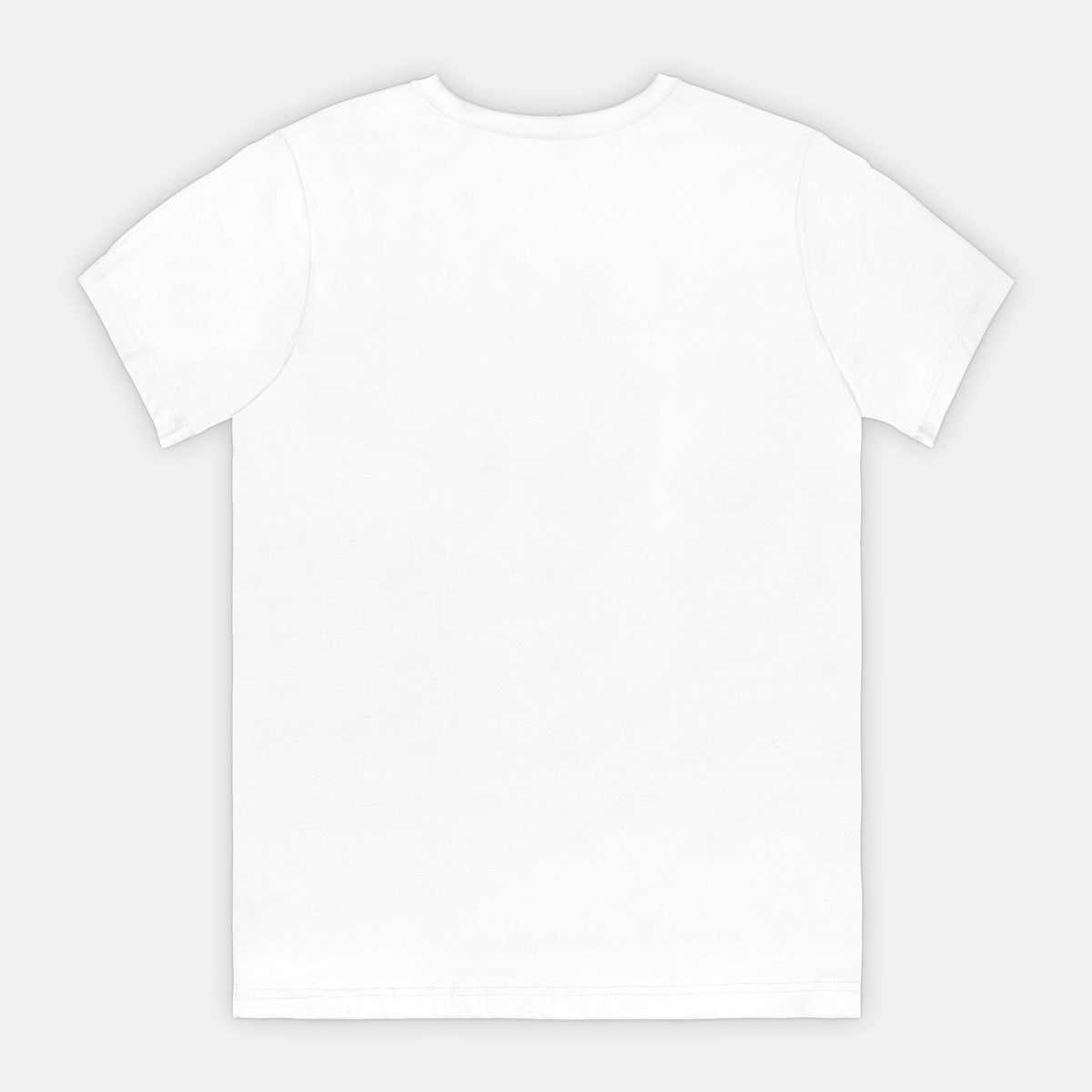 Nashville Songs & Stories Classic T-shirt